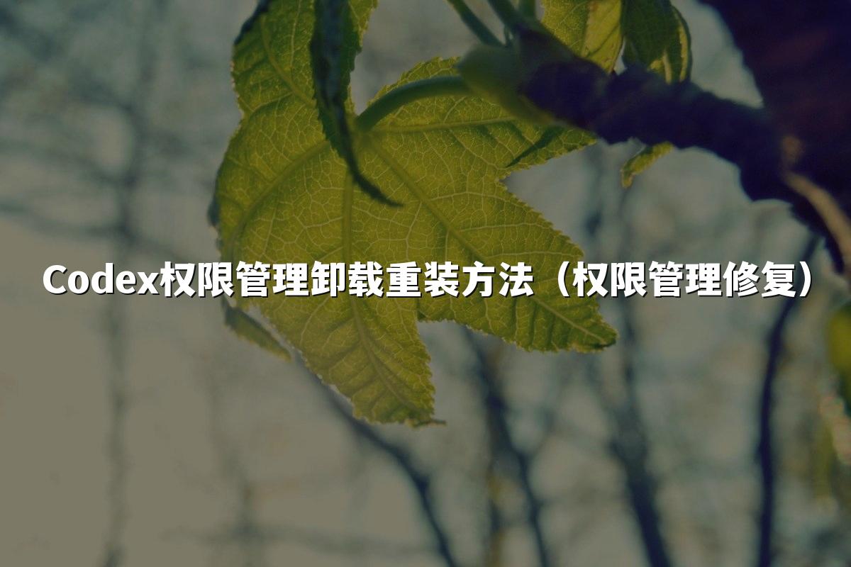 Codex权限管理卸载重装方法(权限管理修复)