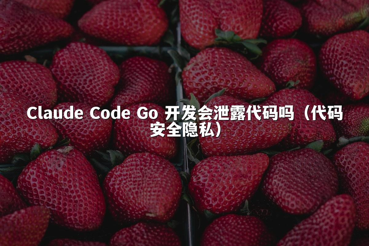 Claude Code Go 开发会泄露代码吗（代码安全隐私）