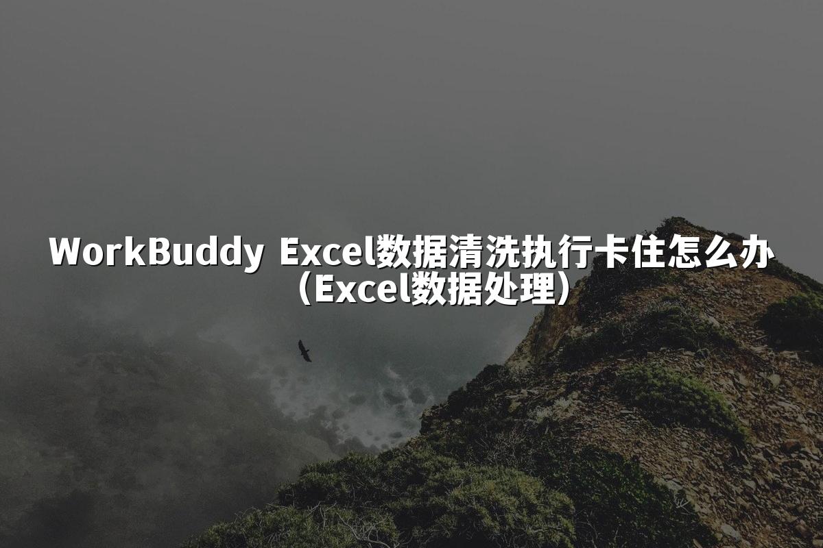 WorkBuddy Excel数据清洗执行卡住怎么办（Excel数据处理）