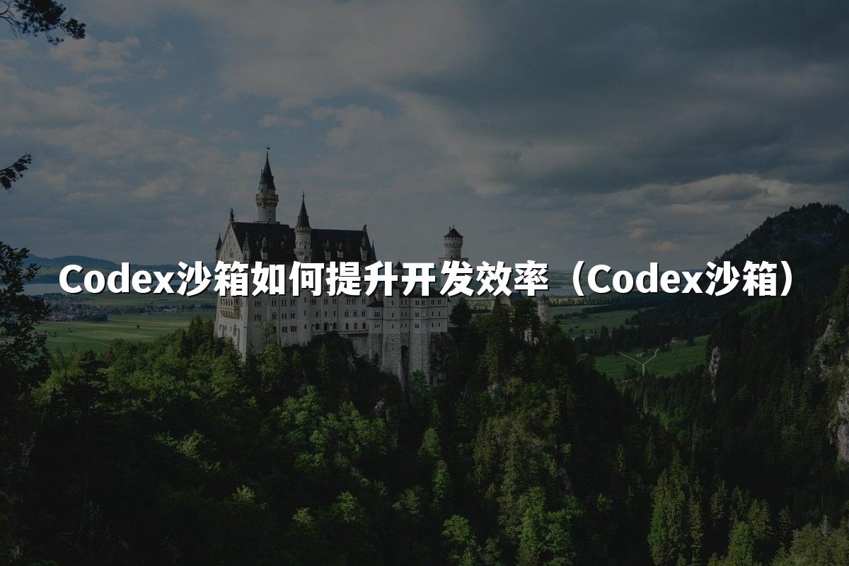 Codex沙箱如何提升开发效率（Codex沙箱）