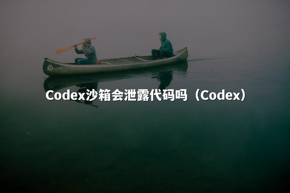 Codex沙箱会泄露代码吗(Codex)