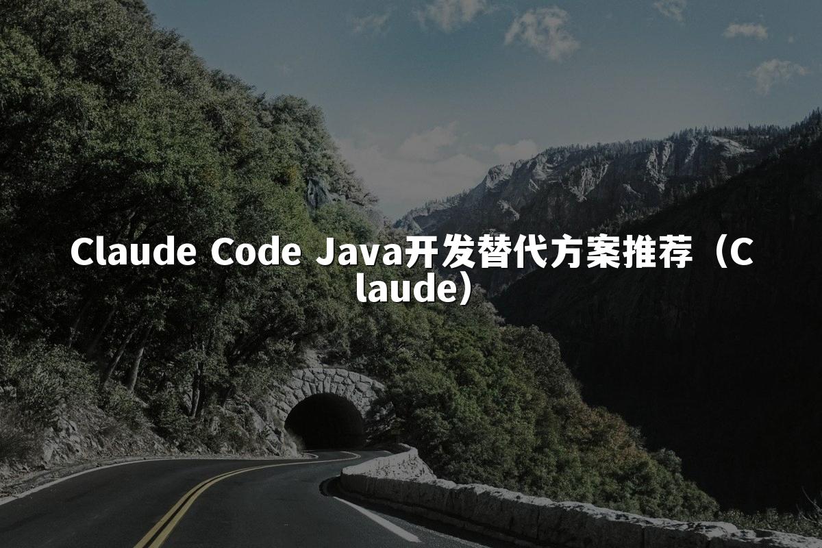 Claude Code Java开发替代方案推荐(Claude)