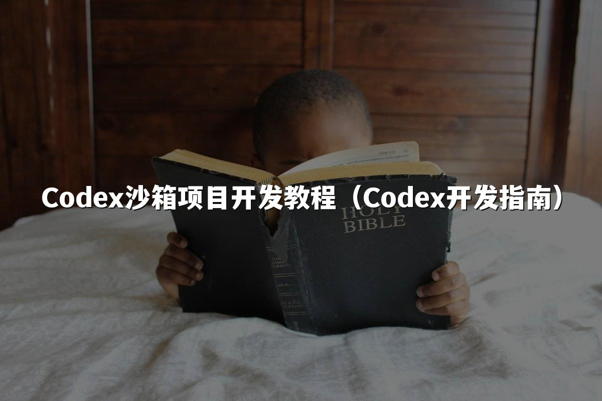 Codex沙箱项目开发教程(Codex开发指南)