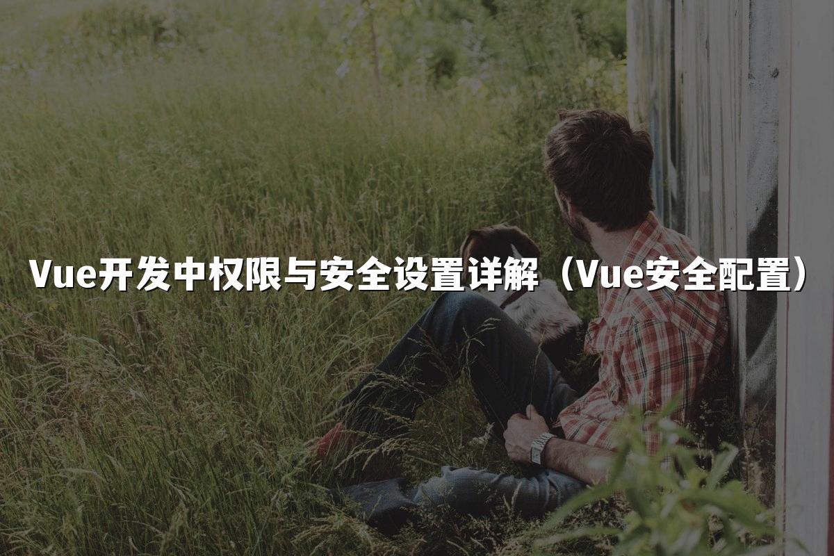 Vue开发中权限与安全设置详解（Vue安全配置）
