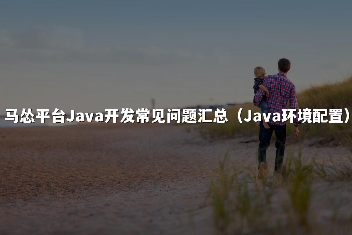 马怂平台Java开发常见问题汇总（Java环境配置）