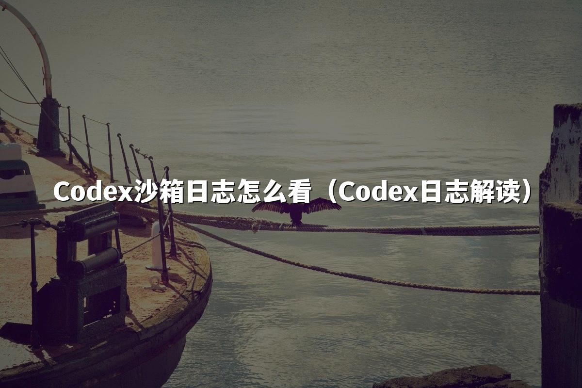 Codex沙箱日志怎么看（Codex日志解读）