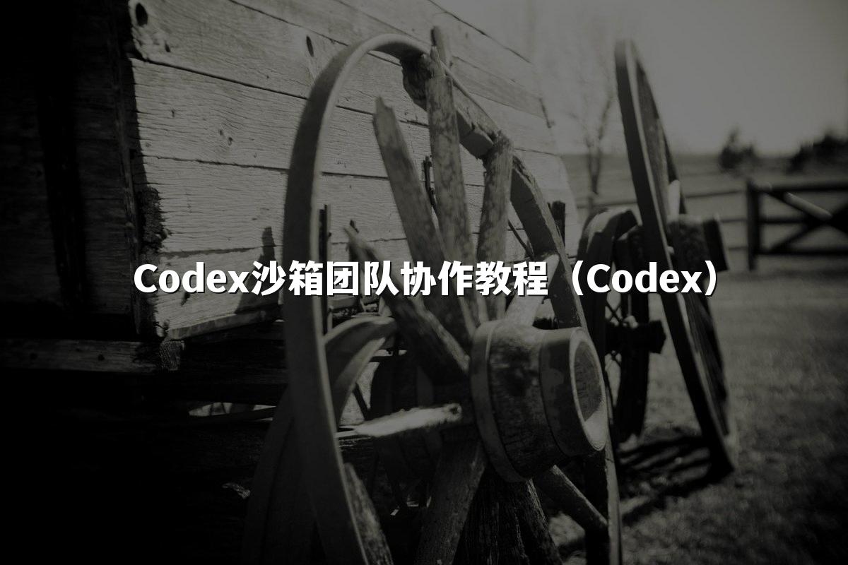 Codex沙箱团队协作教程（Codex）