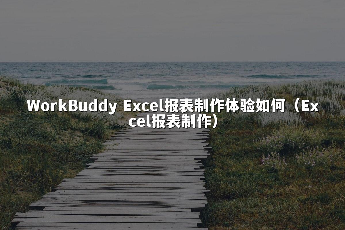 WorkBuddy Excel报表制作体验如何(Excel报表制作)