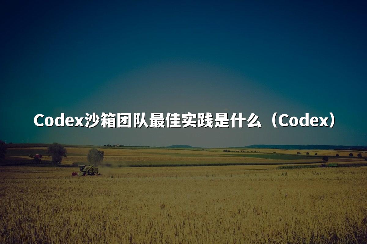 Codex沙箱团队最佳实践是什么（Codex）