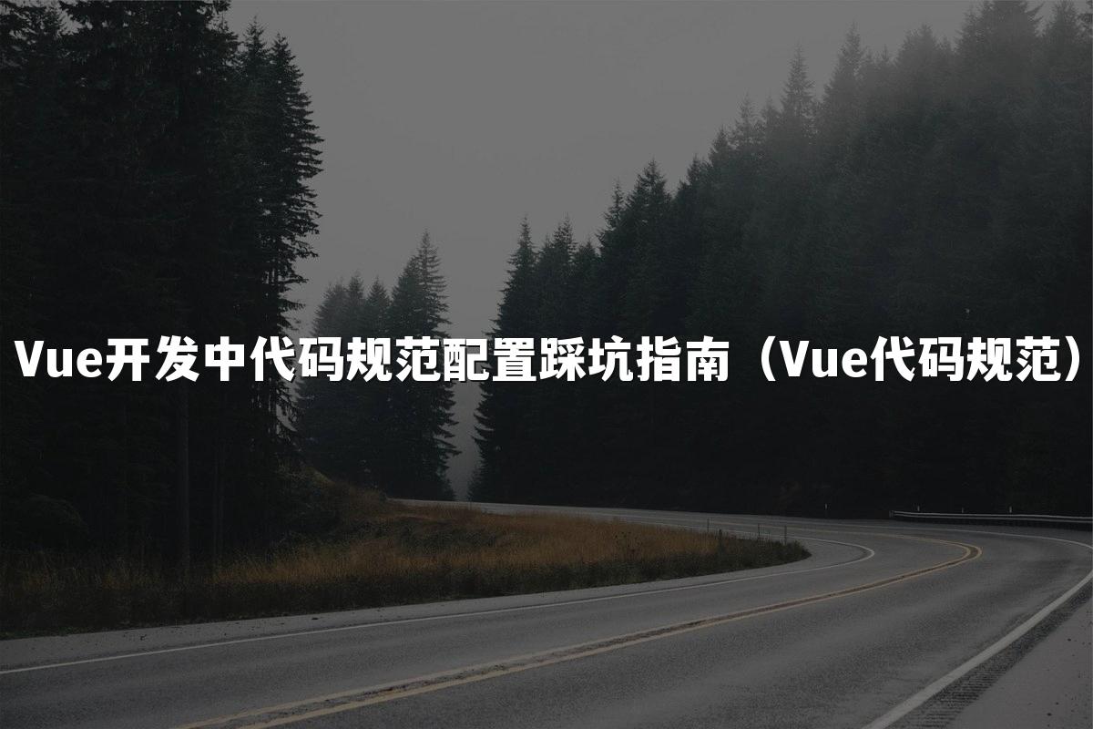 Vue开发中代码规范配置踩坑指南(Vue代码规范)