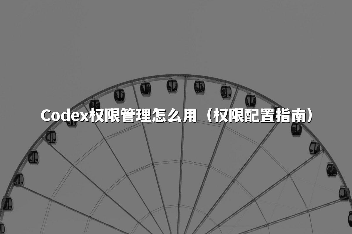 Codex权限管理怎么用（权限配置指南）