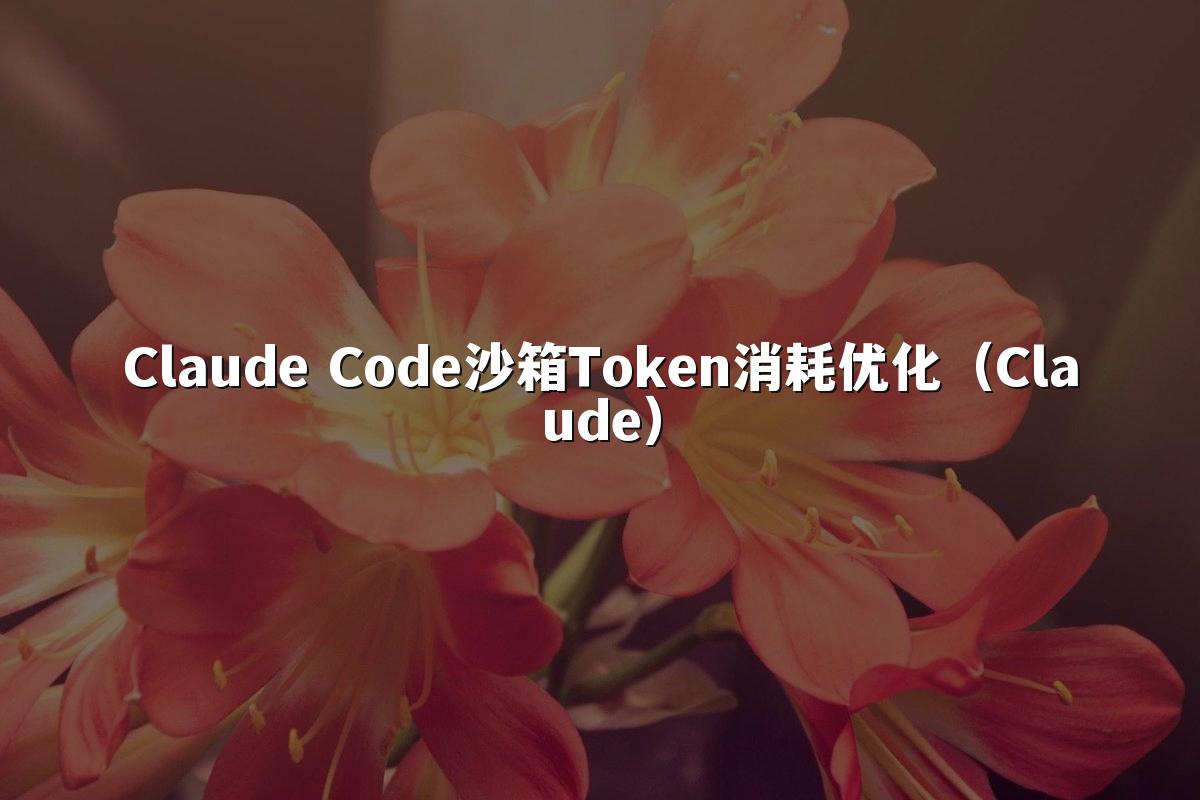 Claude Code沙箱Token消耗优化（Claude）