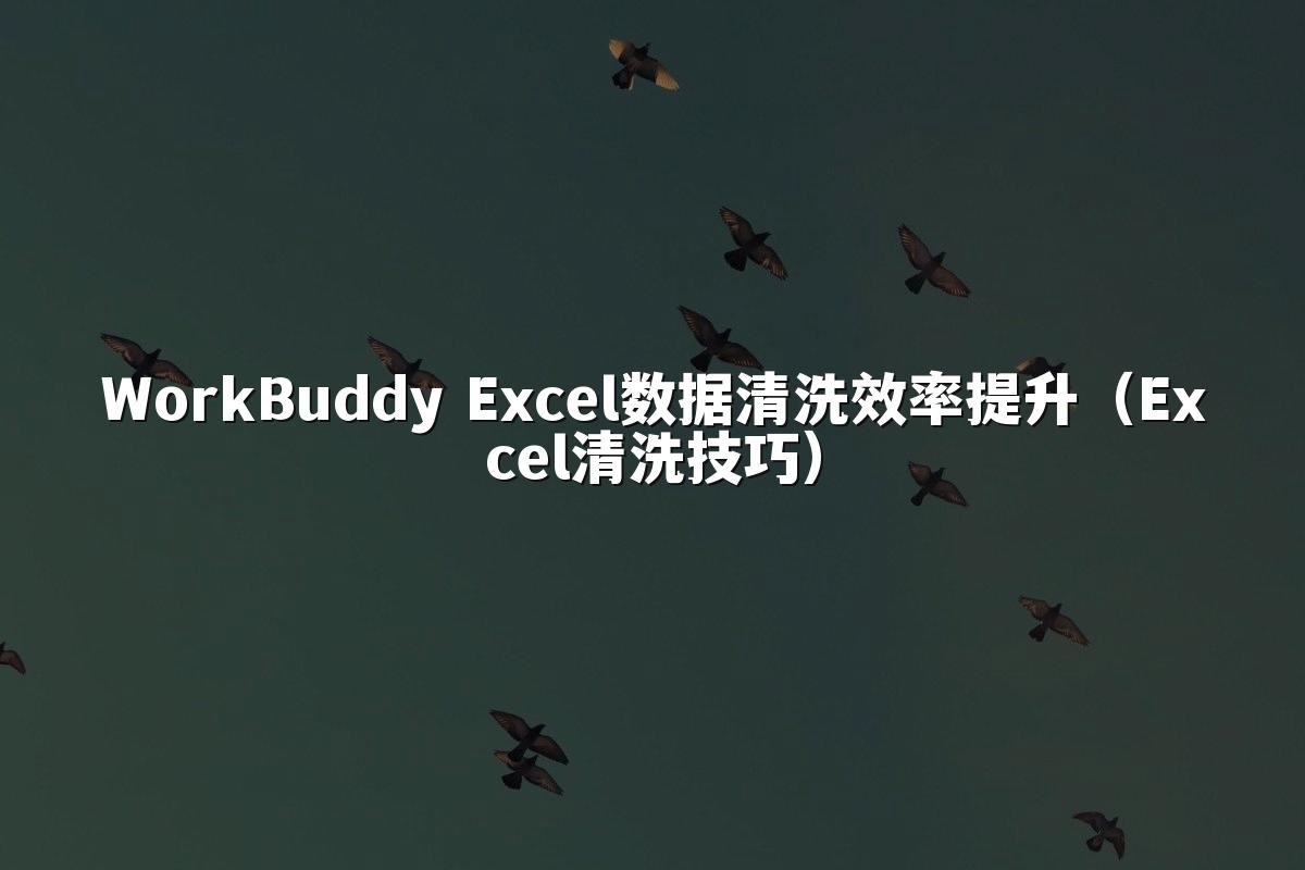 WorkBuddy Excel数据清洗效率提升（Excel清洗技巧）
