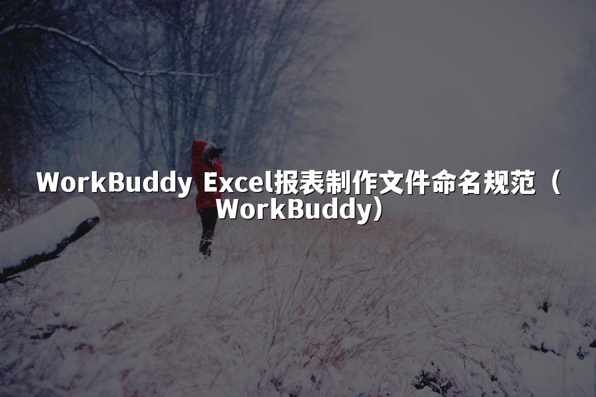 WorkBuddy Excel报表制作文件命名规范（WorkBuddy）