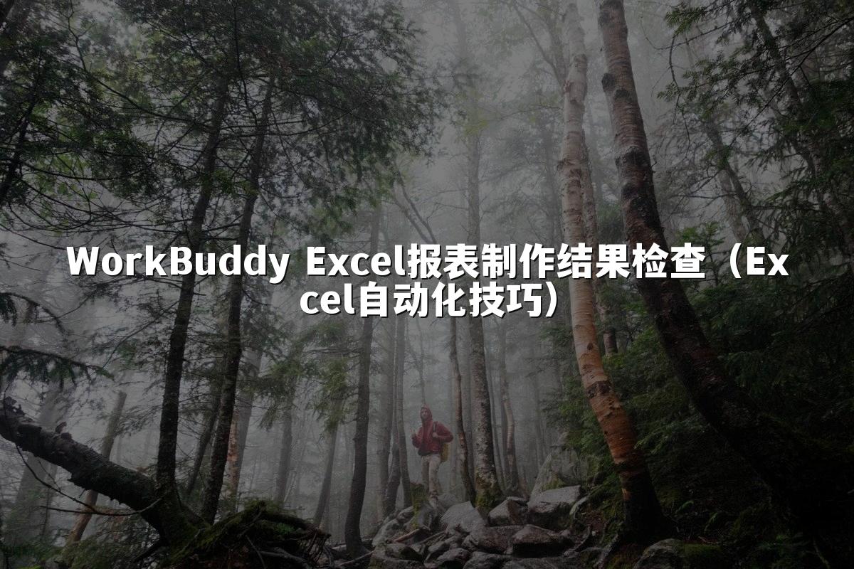 WorkBuddy Excel报表制作结果检查（Excel自动化技巧）