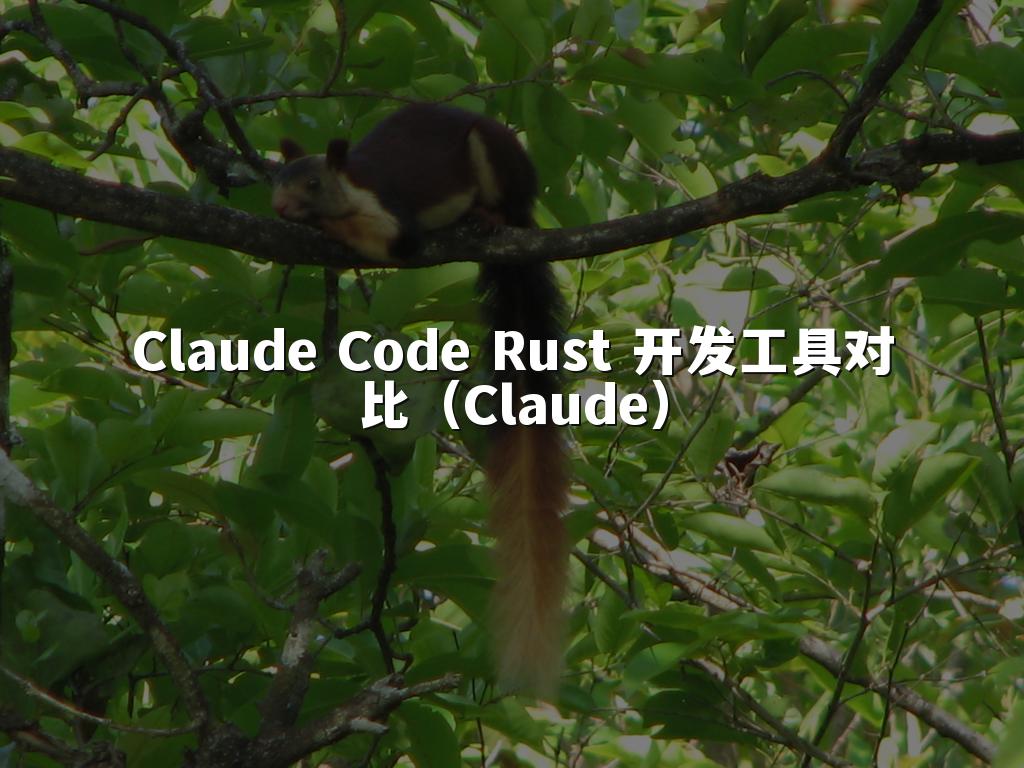 Claude Code Rust 开发工具对比（Claude）