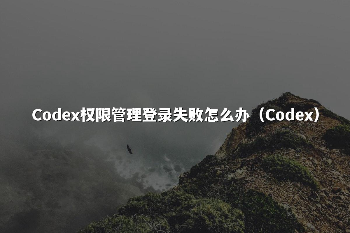 Codex权限管理登录失败怎么办（Codex）