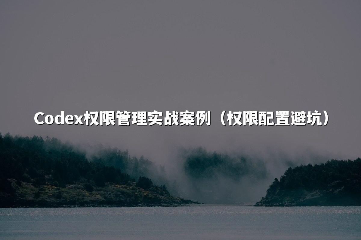 Codex权限管理实战案例（权限配置避坑）