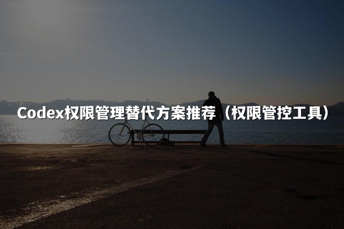 Codex权限管理替代方案推荐（权限管控工具）