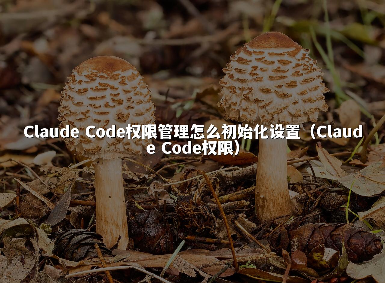 Claude Code权限管理怎么初始化设置（Claude Code权限）