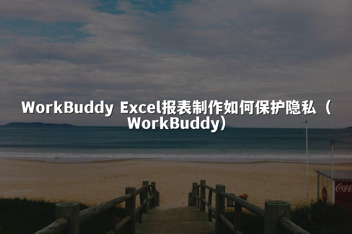 WorkBuddy Excel报表制作如何保护隐私（WorkBuddy）