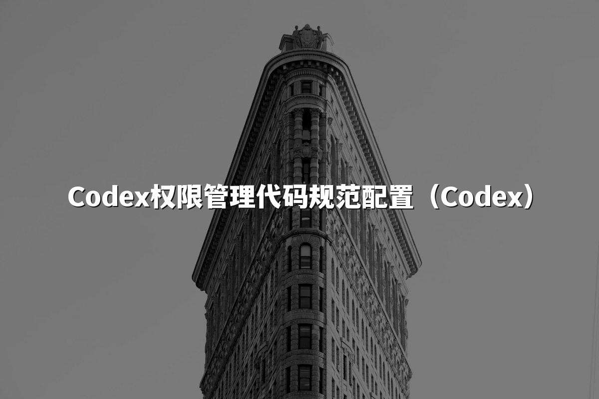 Codex权限管理代码规范配置（Codex）