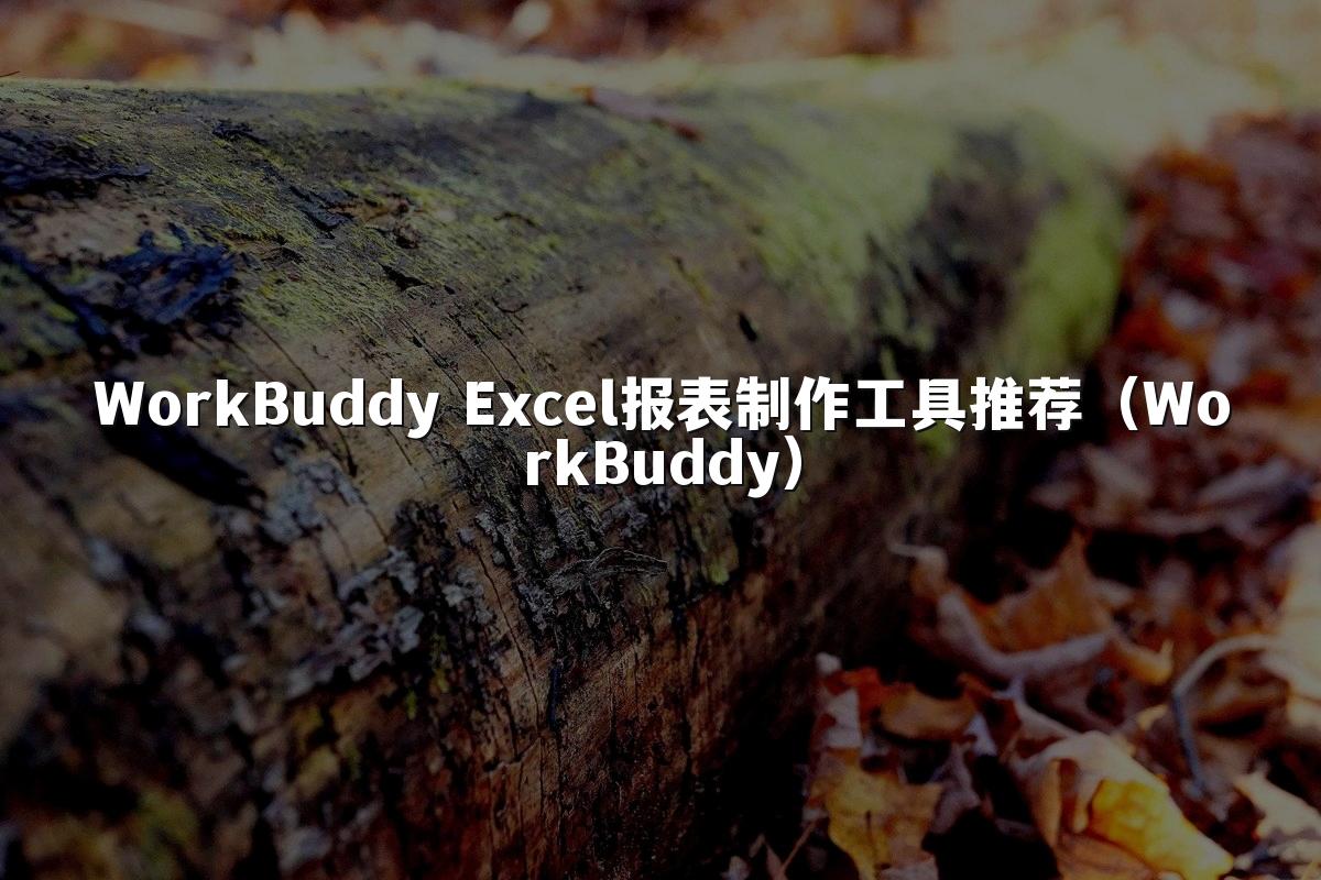 WorkBuddy Excel报表制作工具推荐（WorkBuddy）
