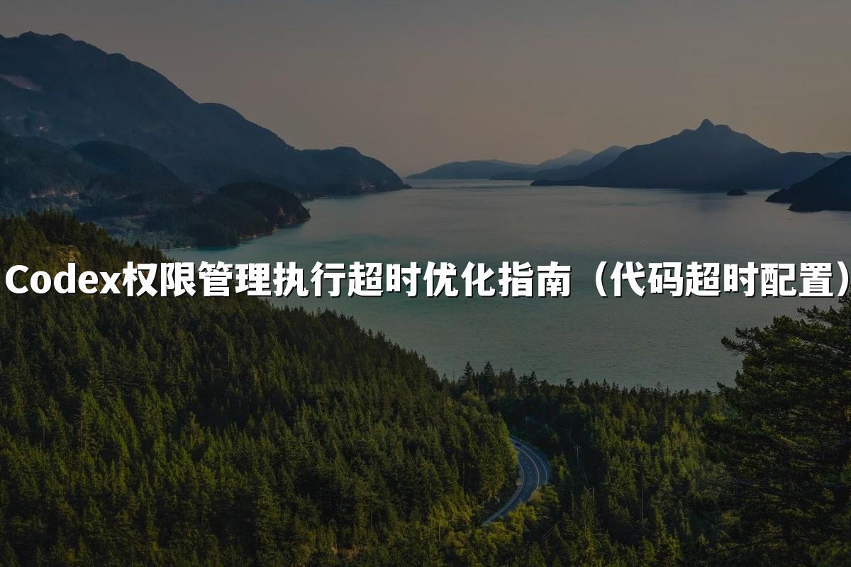 Codex权限管理执行超时优化指南（代码超时配置）