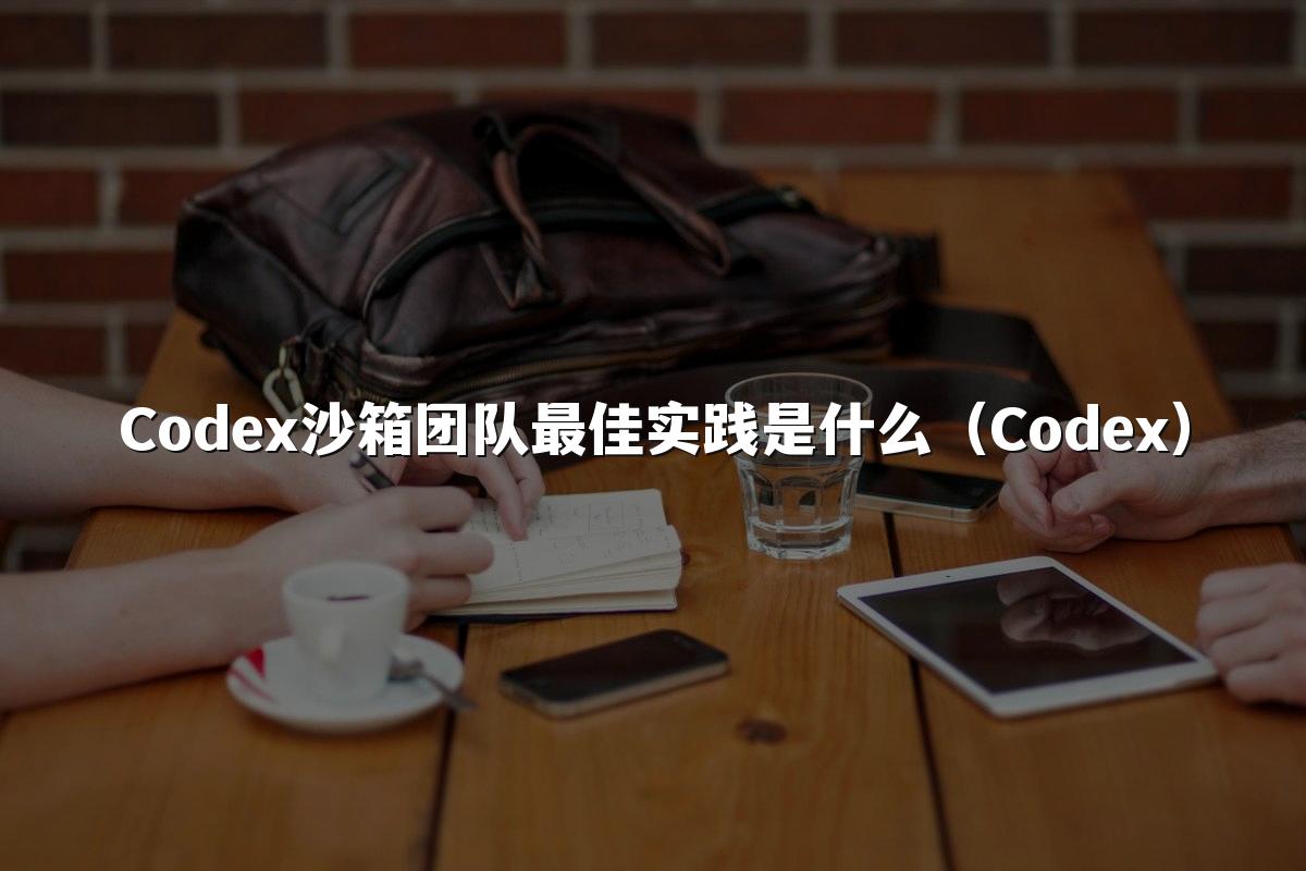 Codex沙箱团队最佳实践是什么（Codex）