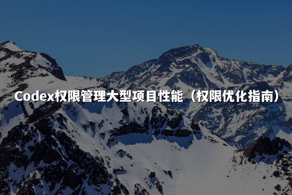 Codex权限管理大型项目性能（权限优化指南）