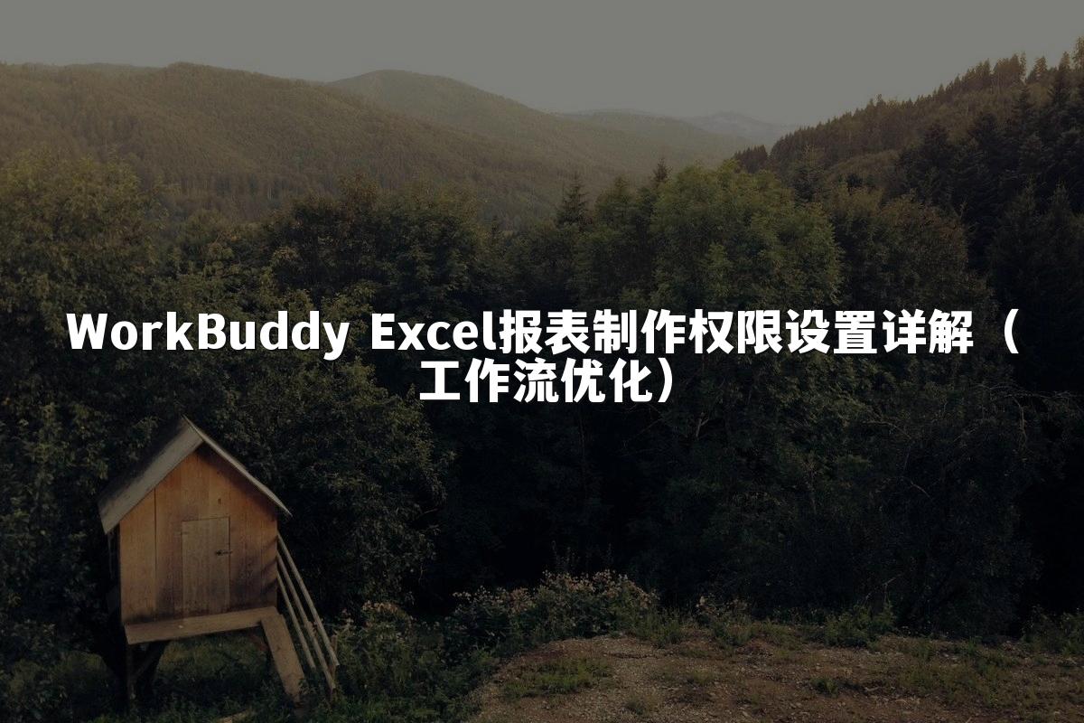 WorkBuddy Excel报表制作权限设置详解（工作流优化）