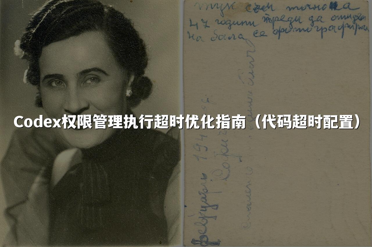 Codex权限管理执行超时优化指南（代码超时配置）