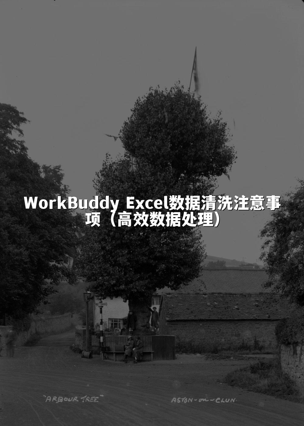 WorkBuddy Excel数据清洗注意事项（高效数据处理）