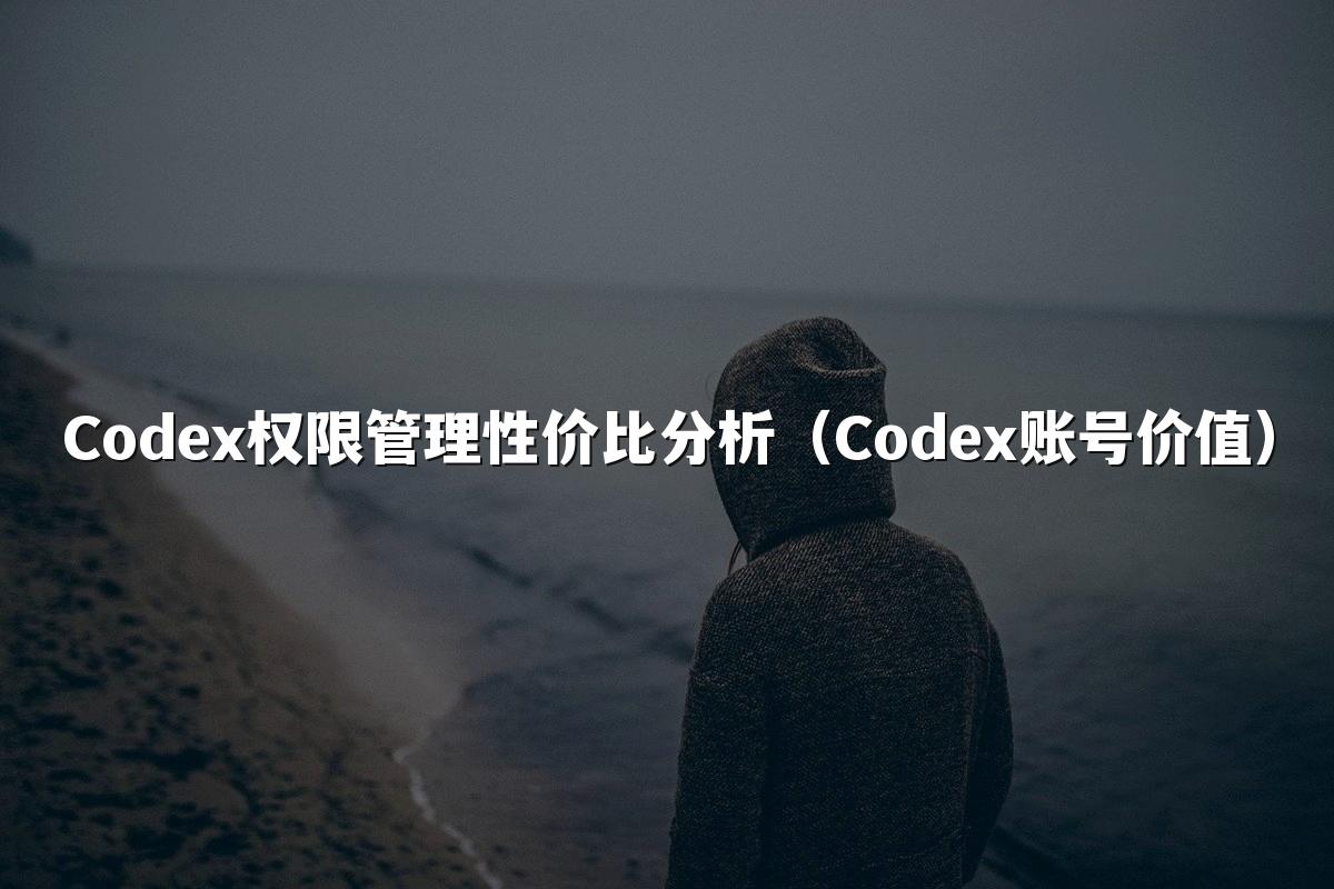 Codex权限管理性价比分析（Codex账号价值）