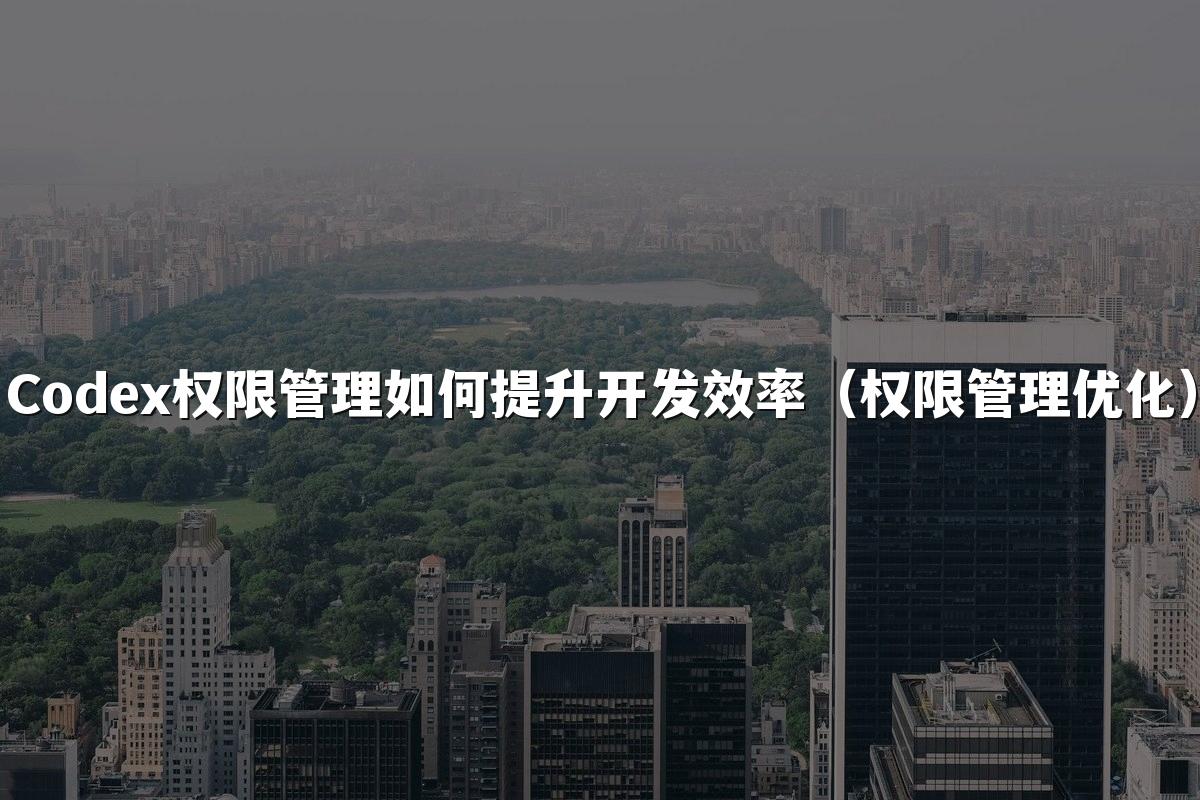 Codex权限管理如何提升开发效率（权限管理优化）