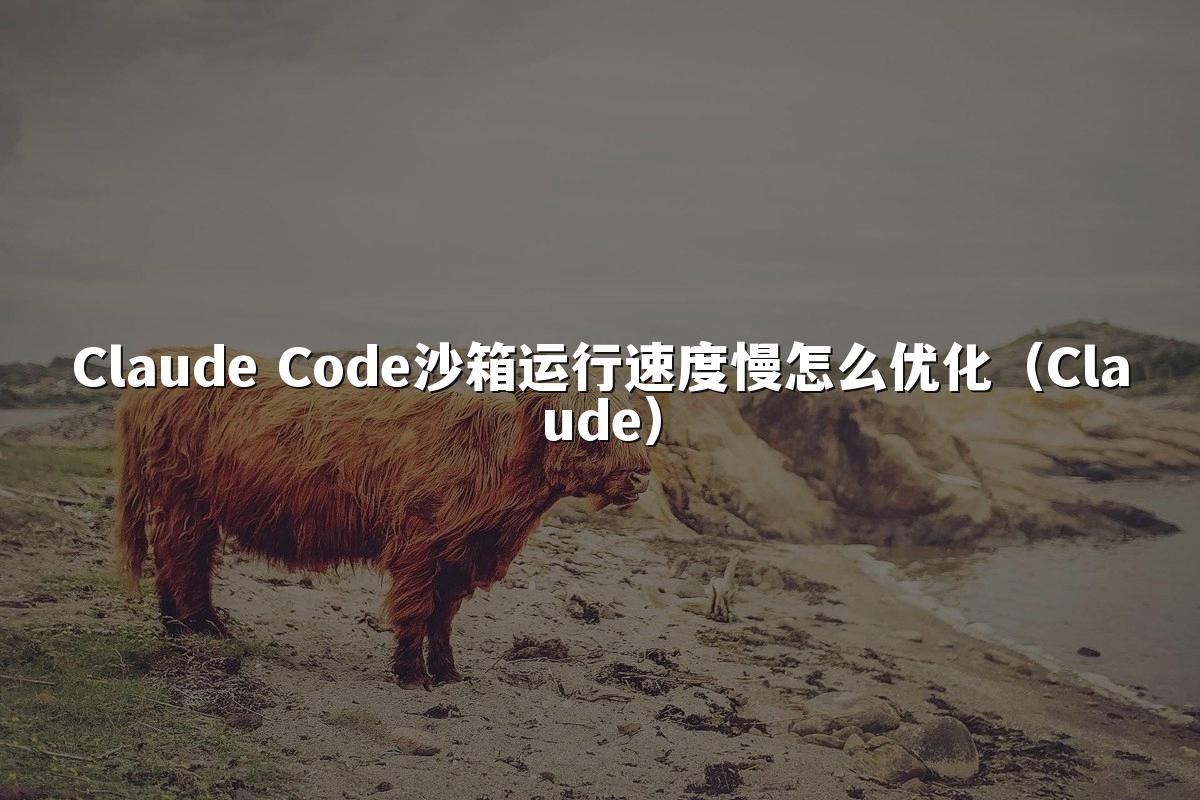 Claude Code沙箱运行速度慢怎么优化（Claude）