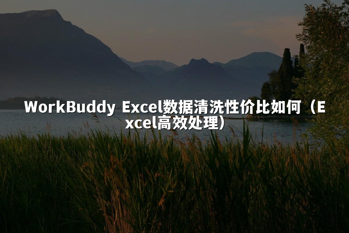 WorkBuddy Excel数据清洗性价比如何（Excel高效处理）