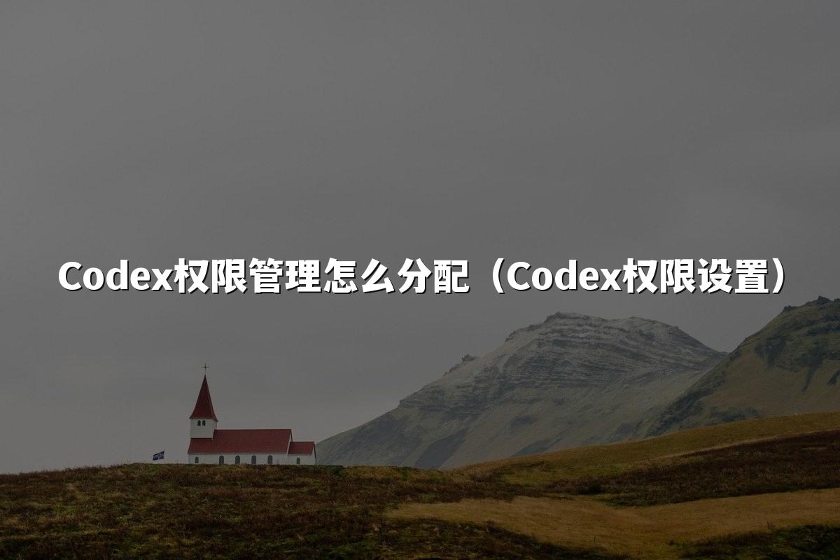 Codex权限管理怎么分配（Codex权限设置）