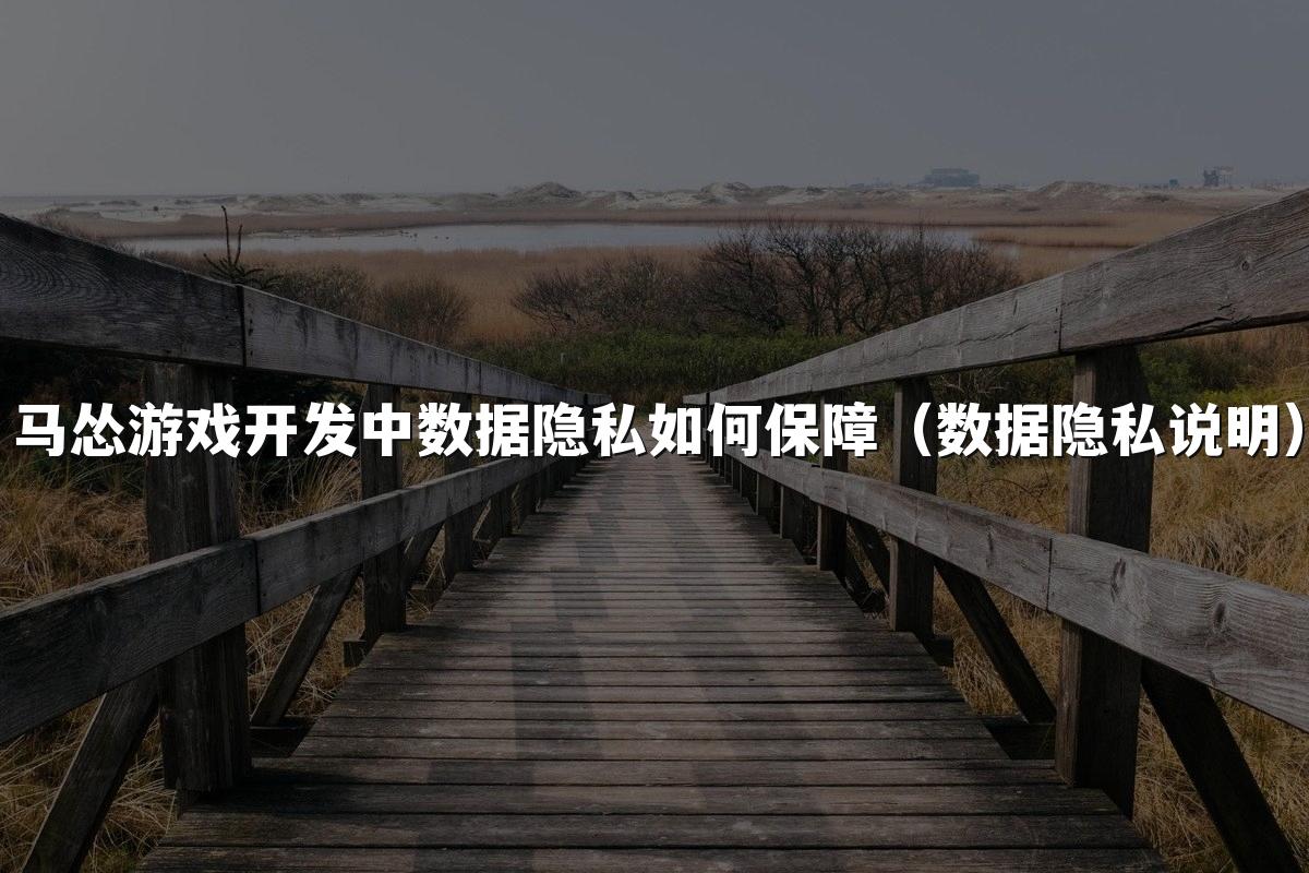 马怂游戏开发中数据隐私如何保障（数据隐私说明）