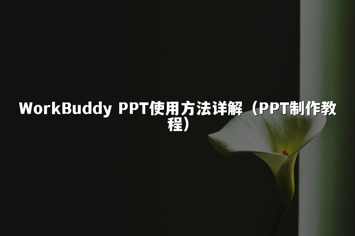 WorkBuddy PPT使用方法详解（PPT制作教程）