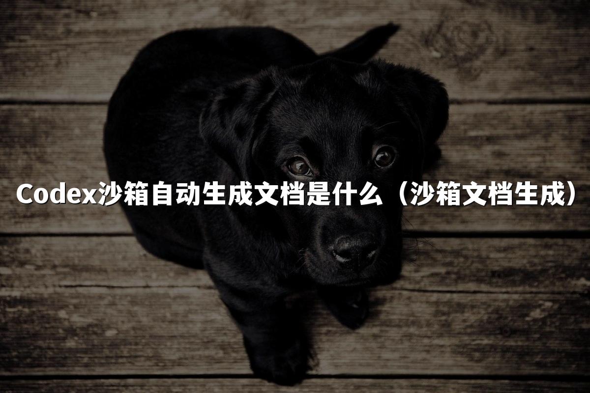 Codex沙箱自动生成文档是什么(沙箱文档生成)