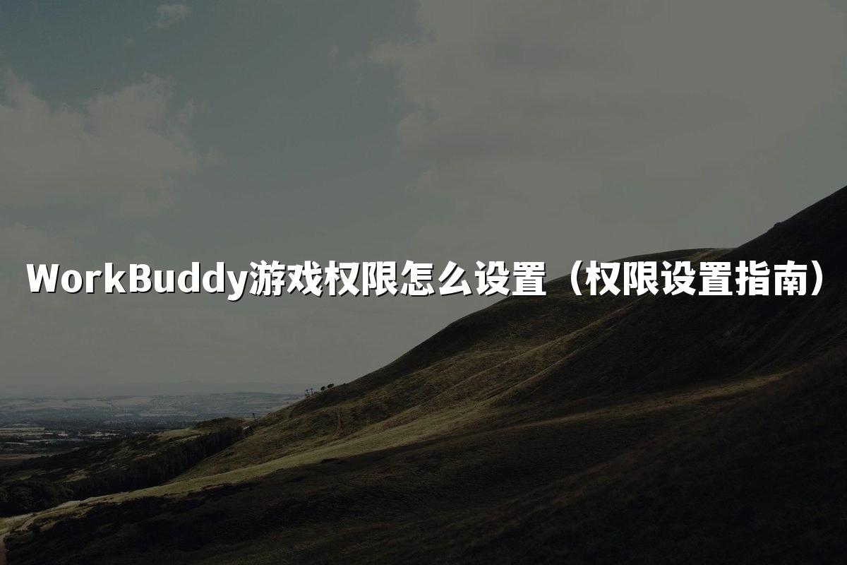 WorkBuddy游戏权限怎么设置（权限设置指南）