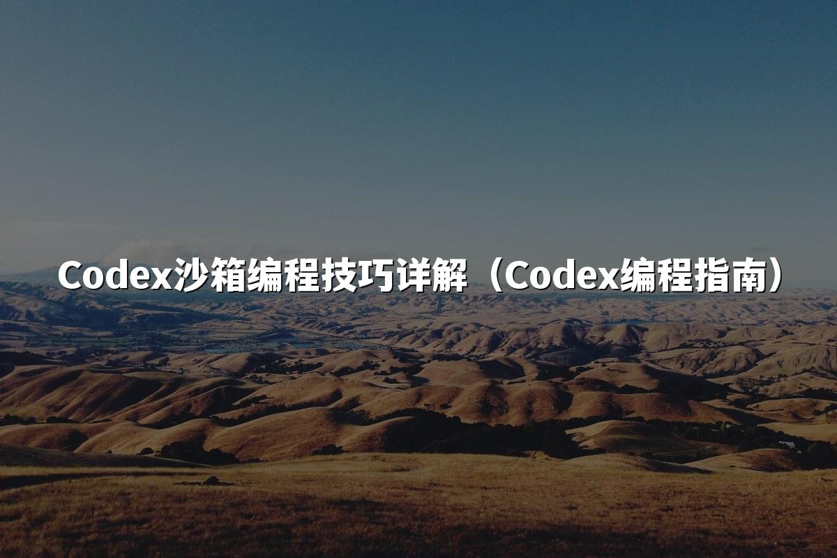 Codex沙箱编程技巧详解（Codex编程指南）