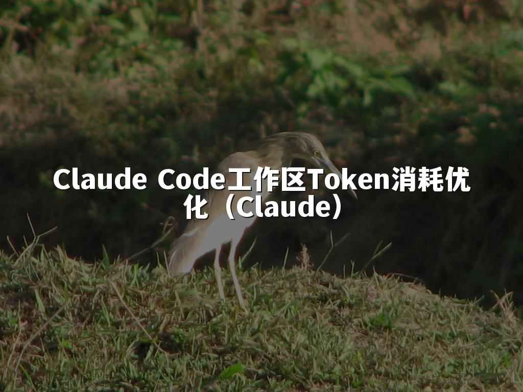 Claude Code工作区Token消耗优化(Claude)
