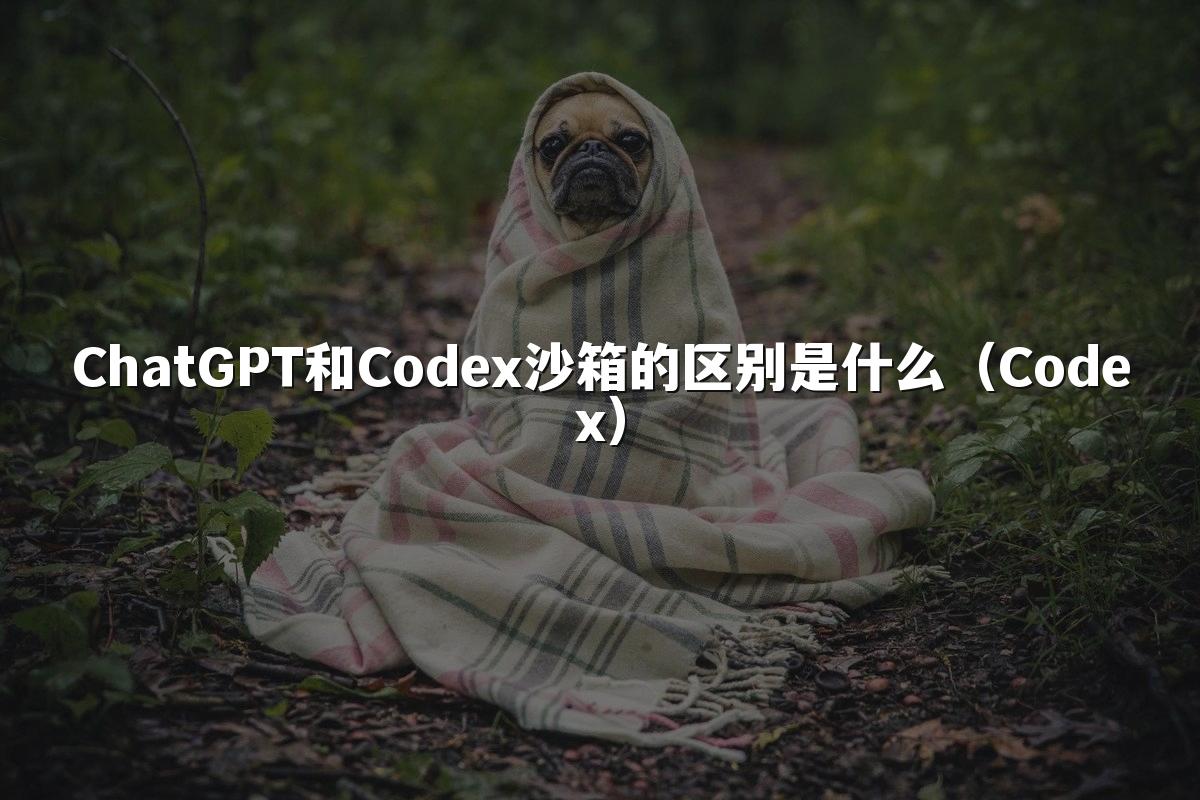 ChatGPT和Codex沙箱的区别是什么（Codex）