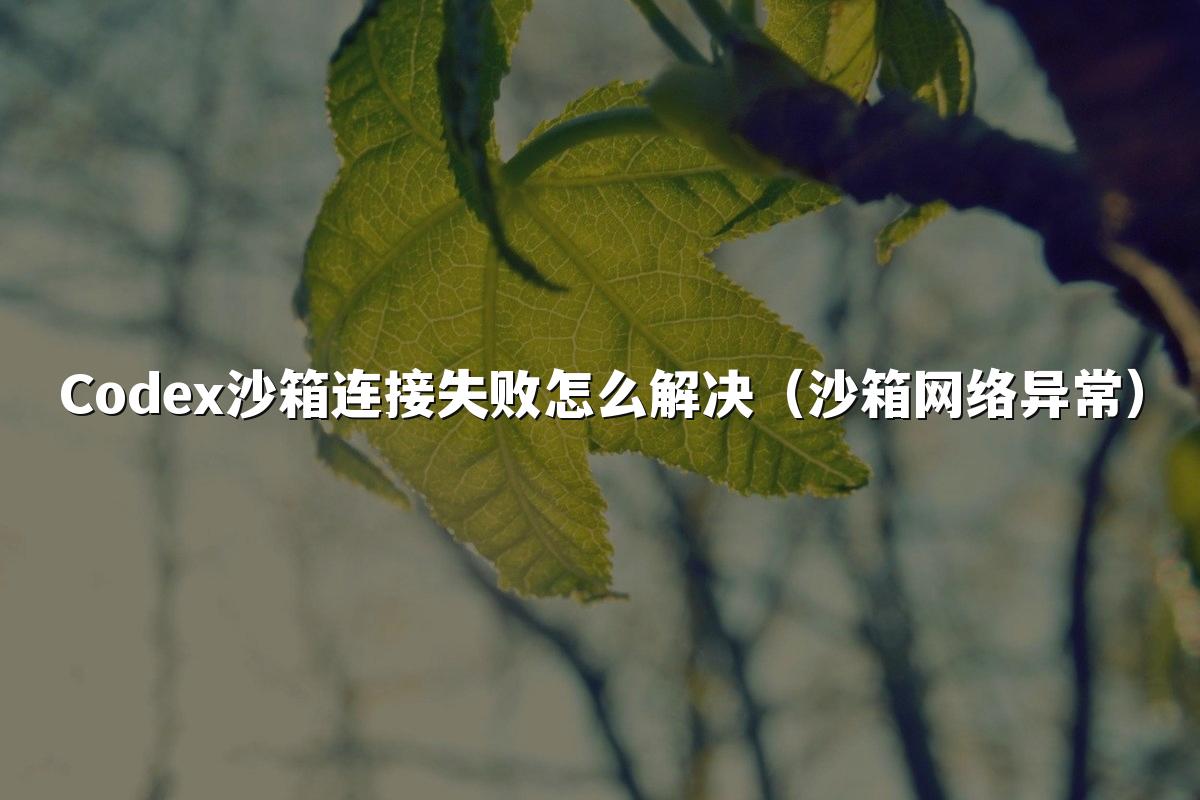 Codex沙箱连接失败怎么解决(沙箱网络异常)