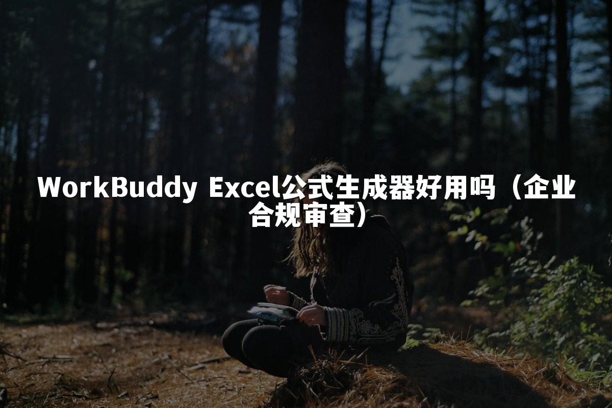 WorkBuddy Excel公式生成器好用吗（企业合规审查）