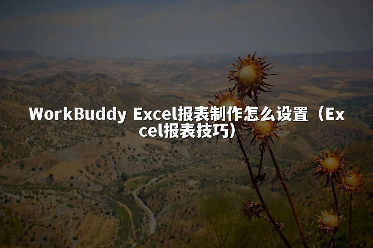 WorkBuddy Excel报表制作怎么设置(Excel报表技巧)