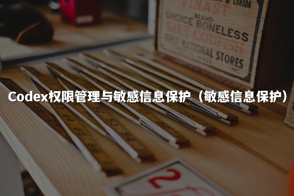 Codex权限管理与敏感信息保护（敏感信息保护）