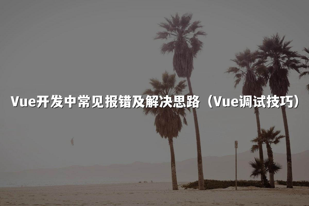 Vue开发中常见报错及解决思路(Vue调试技巧)